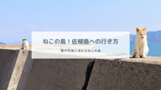 年 飛び猫の島 佐柳島 の歩き方を紹介 持ち物は 猫に人気のおやつは 撮影方法は 箱入り娘は旅をする