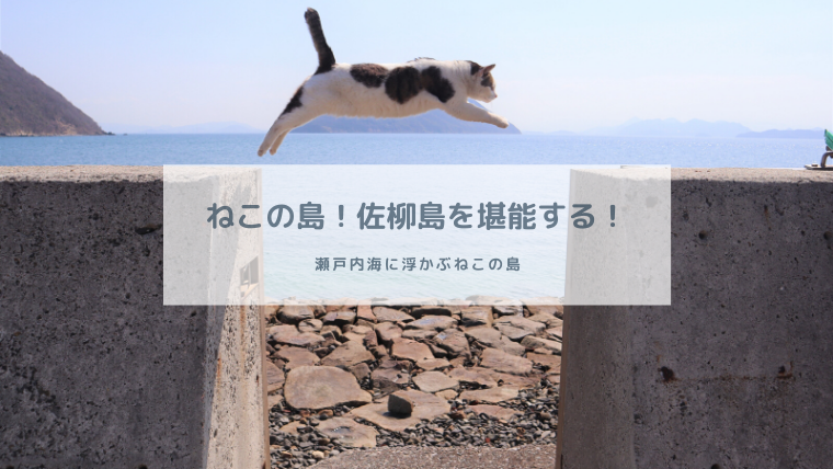 年 飛び猫の島 佐柳島 の歩き方を紹介 持ち物は 猫に人気のおやつは 撮影方法は 箱入り娘は旅をする