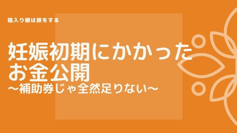 妊娠初期 妊娠初期の医療費はいくらかかる 自己負担15万円かかった話 妊娠初期の購入品まとめ 箱入り娘は旅をする