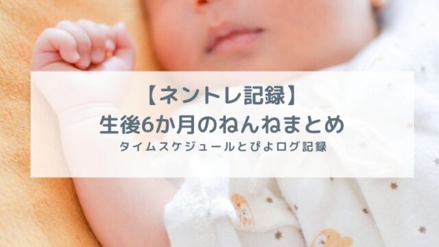 ネントレ6か月