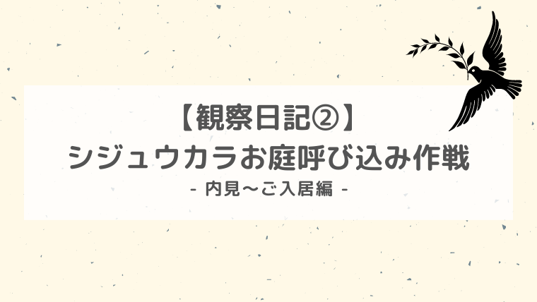 シジュウカラ観察日記