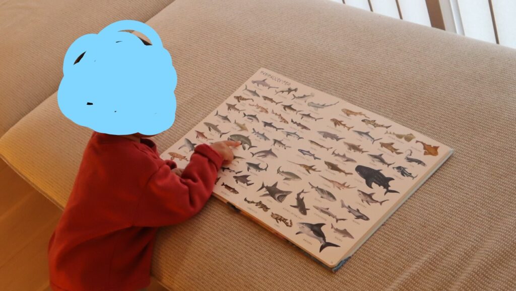 図鑑を楽しむ1歳児 