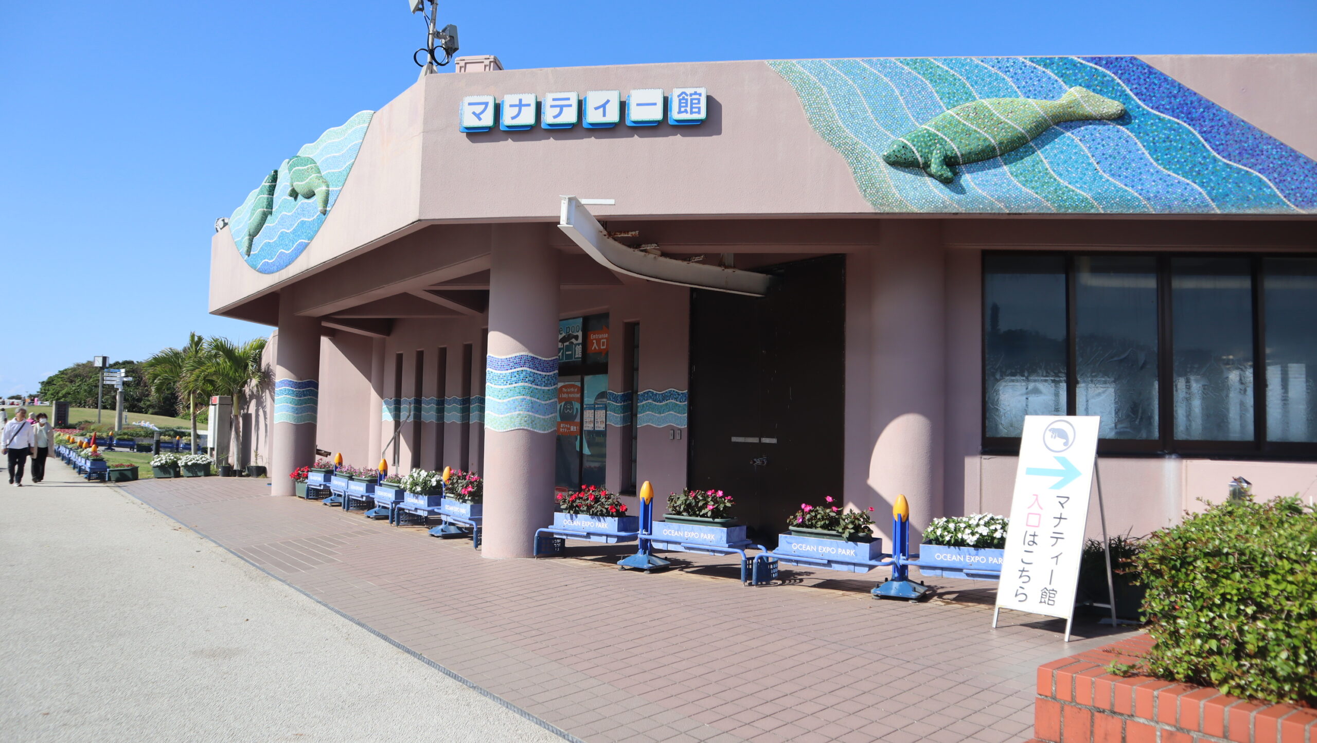 美ら海水族館マナティ館 