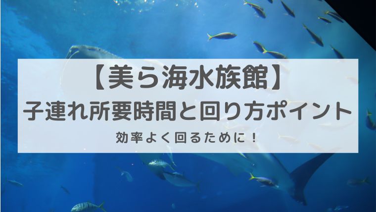 美ら海水族館の所要時間