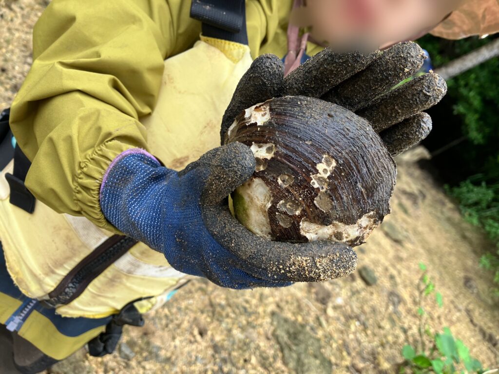 石垣島　マングローブカヤック体験