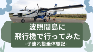 波照間島へ飛行機で行ってみた。子連れ搭乗体験記